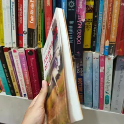 Khi hồng hạc bay về và những điều màu nghiệm 🌱 574867