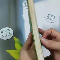 Phương Pháp Montessori - Nghệ Thuật Nuôi Dạy Trẻ Đỉnh Cao 705669