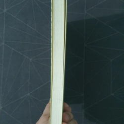 "Trưởng thành sau ngàn lần tranh đấu" - Rando Kim 476024