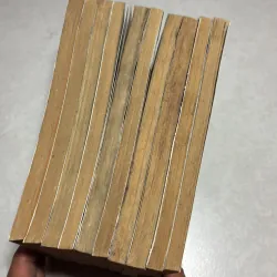 Tứ quái TKKG - Stefan Wolf (10 cuốn) 777764