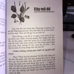 Chữa bệnh từ cây cỏ vườn nhà và bài thuốc gia truyền - Hải Quỳnh 1005367