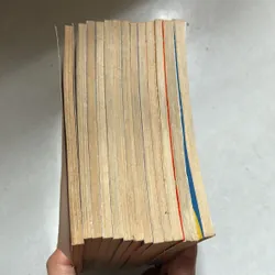 Tóc đuôi gà (Trọn bộ 13 Tập) (Co) 689780