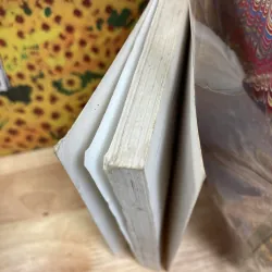 Truyện Kiều - Nguyễn Du 957244