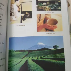 LỤC BÁT TRÀ - PHẠM VĂN SAU 711672