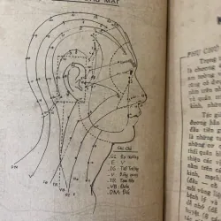 TÔI HỌC KHOA CHÂM CỨU - NGUYỄN VĂN SẮNG 1001245