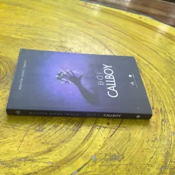 ĐỜI CALLBOY- NGUYỄN NGỌC THẠCH - văn học 2016 738010