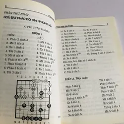 PHÁO CUỘC BÁCH BIẾN 703133