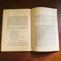 Tam quy và ngũ giới (năm 1972)  719639