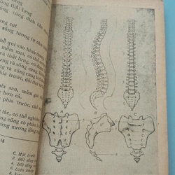 GIẢI PHẪU TẠO HÌNH - LƯƠNG XUÂN NHỊ 443800