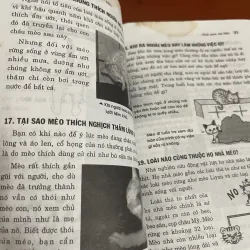 Cách nuôi mèo  1005189