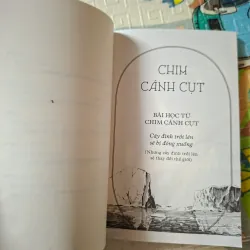 Muông Thú Dạy Ta Bài Học Cuộc Sống 797298