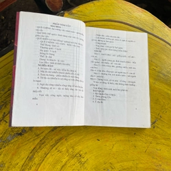 ĐỘN MAI HOA VÀ BỘC PHẾ CHÍNH TÔNG 473582