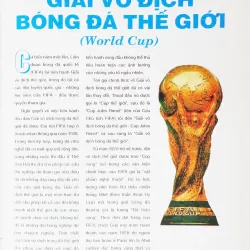 Bóng đá thế giới 561644