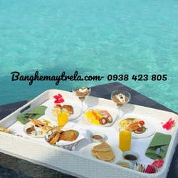 Khay mây nhựa hồ bơi 473244