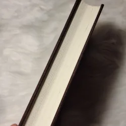 Common Buddhist Text - Guidance and Insight from the Buddha (Phật Điển Phổ Thông) 783197