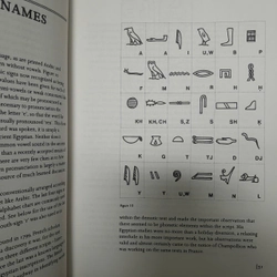 UNDERSTANDING HIEROGLYPHS -HILARY WILSON 493236