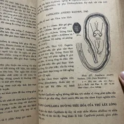 Nguyên lý môn giun tròn thú y 2; 200 trang khổ lớn  1009223