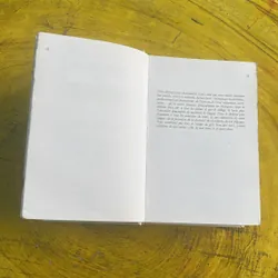 DICTIONNAIRE DES SYNONYMES- LES DICOS D’OR 697196