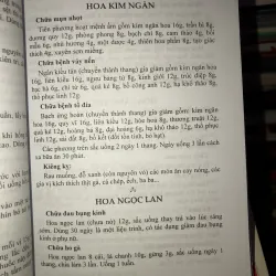 Bài thuốc dân gian trị bệnh người lớn và trẻ em - Lâm Hà - Quang Nhân 778301