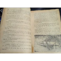 NGƯỜI VIỆT GỐC MIÊN - LÊ HƯƠNG 129335