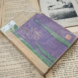 Truyện ngắn của Cao Linh Quân: Sự im lặng của đất 707719