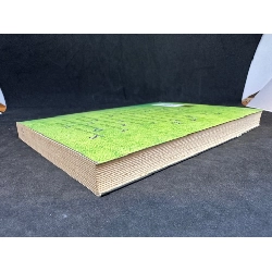 Ừa, chỉ có vậy thôi (bút ký, tản văn)- Lê Giang, mới 80% (ố nhẹ) SBM0201 913008