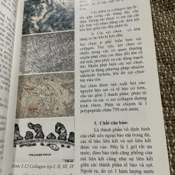 Mô học - PGS.TS.BS. PHAN CHIẾN THẮNG ; PGS.TS.BS. TRẦN CÔNG TOẠI; 240 trang khổ lớn  1021338