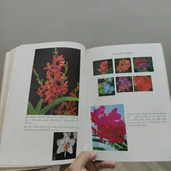 Kỹ Thuật Nuôi Trồng Phong Lan - Trần Văn Bảo 588687