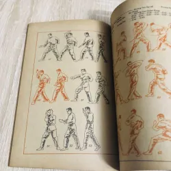 TÌM HIỂU VÕ THUẬT VIỆT VÕ ĐẠO 531169