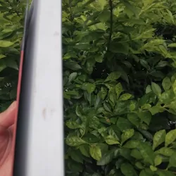 Mùa đông của Gunter tiểu thuyết của Juan Manuel Marcos  1001355