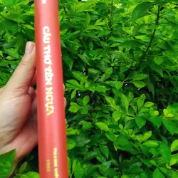 Câu thơ yên ngựa tiểu thuyết lịch sử của Hoàng Yến 999660