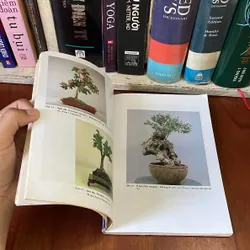 II Tựa sách: BONSAI _ Cây Kiểng Cổ - Trần Hợp - 1996 561468