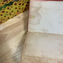 Legio Mariae 1965 928012