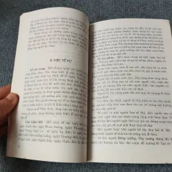 VIỆT NAM PHONG TỤC - PHAN KẾ BÍNH 729253