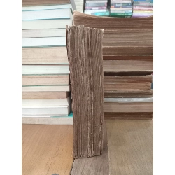 Thao thức - Alêch xănđrơ Krôn 975011