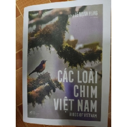 Remake Các loài chim Việt Nam - 821 trang - LỊCH SỬ - CHÍNH TRỊ - TRIẾT HỌC - ANTQ2911-75 921008