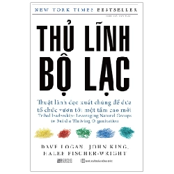 Thủ Lĩnh Bộ Lạc - Dave Logan, John King, Halee Fischer Wright 287888