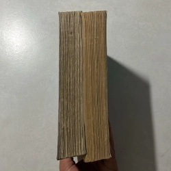 Cội Rễ — Dương Tường dịch — 1985s 495460