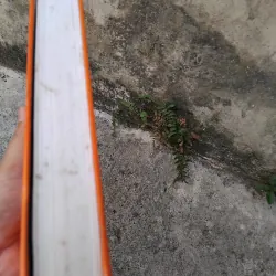 Kể chuyện nối thời gian - Lịch sử họ Ngô ở Việt Nam  1005731