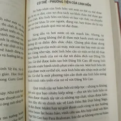 PHÚC LẠC THÁNH THIỆN 560242