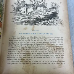 CHUYỆN PHIÊU LƯU CỦA MÍT ĐẶC VÀ CÁC BẠN - VŨ NGỌC BÌNH 797731