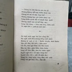 LỬA SÁNG RỪNG 704016