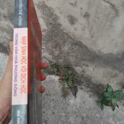 Nhịp sinh học với Dịch học trong văn hóa phương Đông  1022856