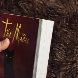 Tặc Miêu - Thiên hạ bá xướng 709374