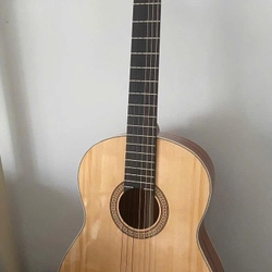 Guitar lasic 469317
