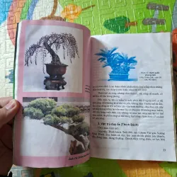 Bonsai - Cây dáng, thế và Non bộ 933891