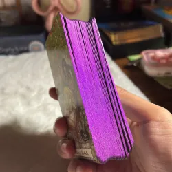 Bộ Bài Everyday Witch Tarot Hộp Thiếc Mạ Cạnh Tím 78 Lá kèm sách hướng dẫn tiếng anhh 751426