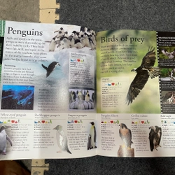 The New Children's Encyclopedia 462050