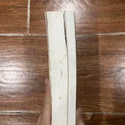 Thăng trầm quyền lực bộ 2 tập - Alvin Toffler (6) 761913