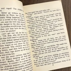 ✨𝑻𝒉𝒆 𝑨𝒅𝒗𝒆𝒏𝒕𝒖𝒓𝒆𝒔 𝒐𝒇 𝒕𝒉𝒆 𝑾𝒊𝒔𝒉𝒊𝒏𝒈–𝑪𝒉𝒂𝒊𝒓✨ 720049